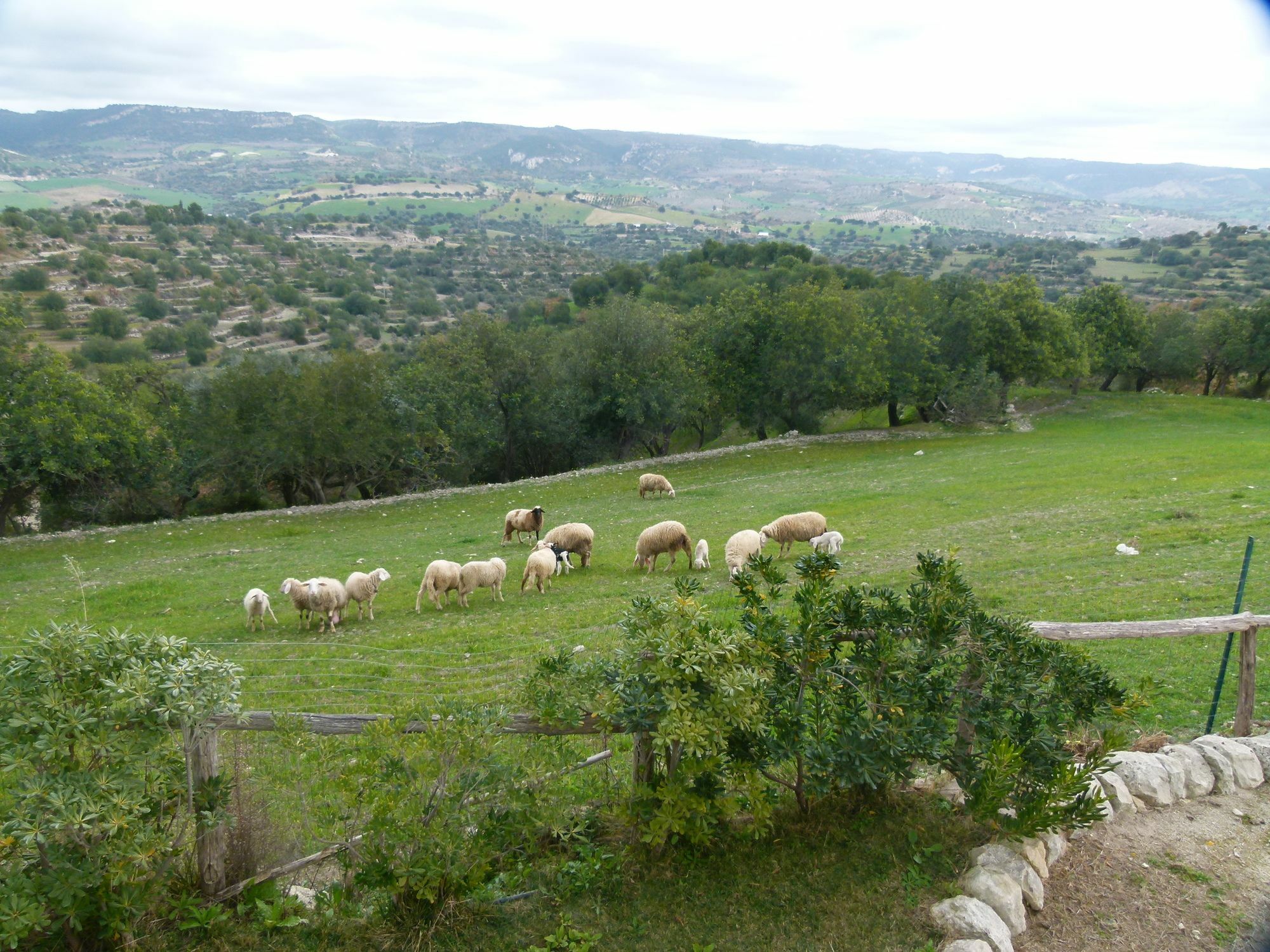 Agriturismo Villa Gaia Modica Eksteriør billede