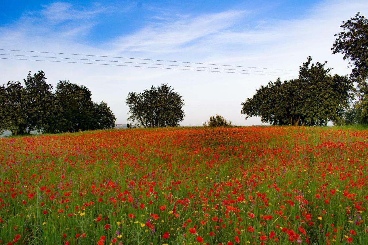 Agriturismo Villa Gaia Modica Eksteriør billede